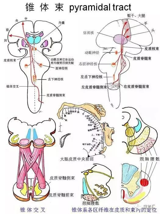 澳门太阳网城官网