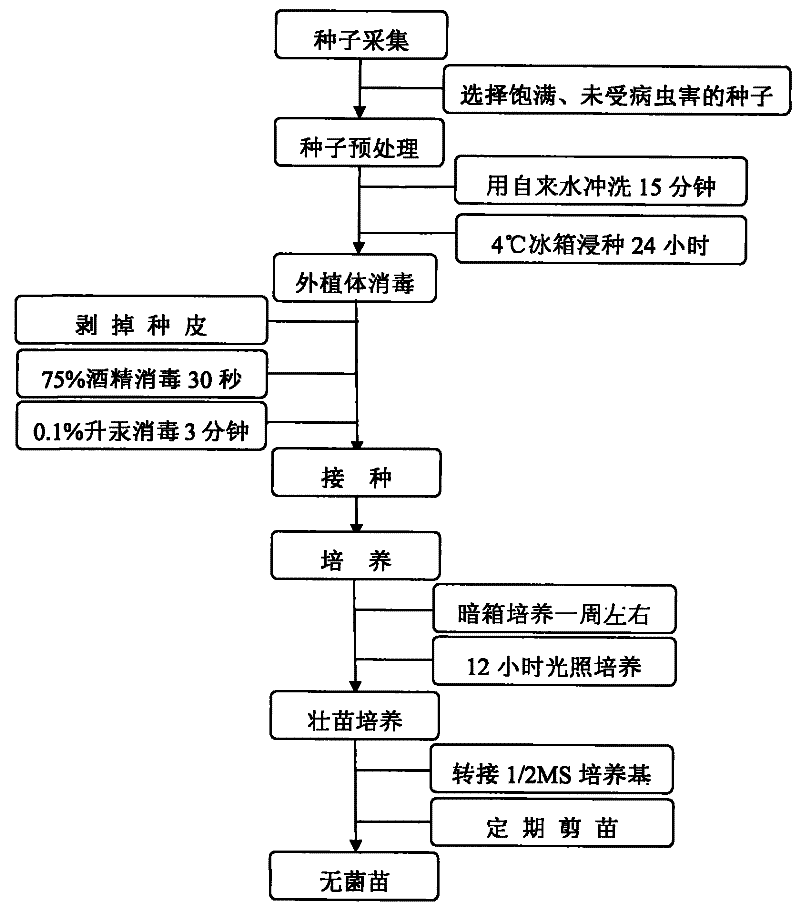 澳门太阳网城官网下载